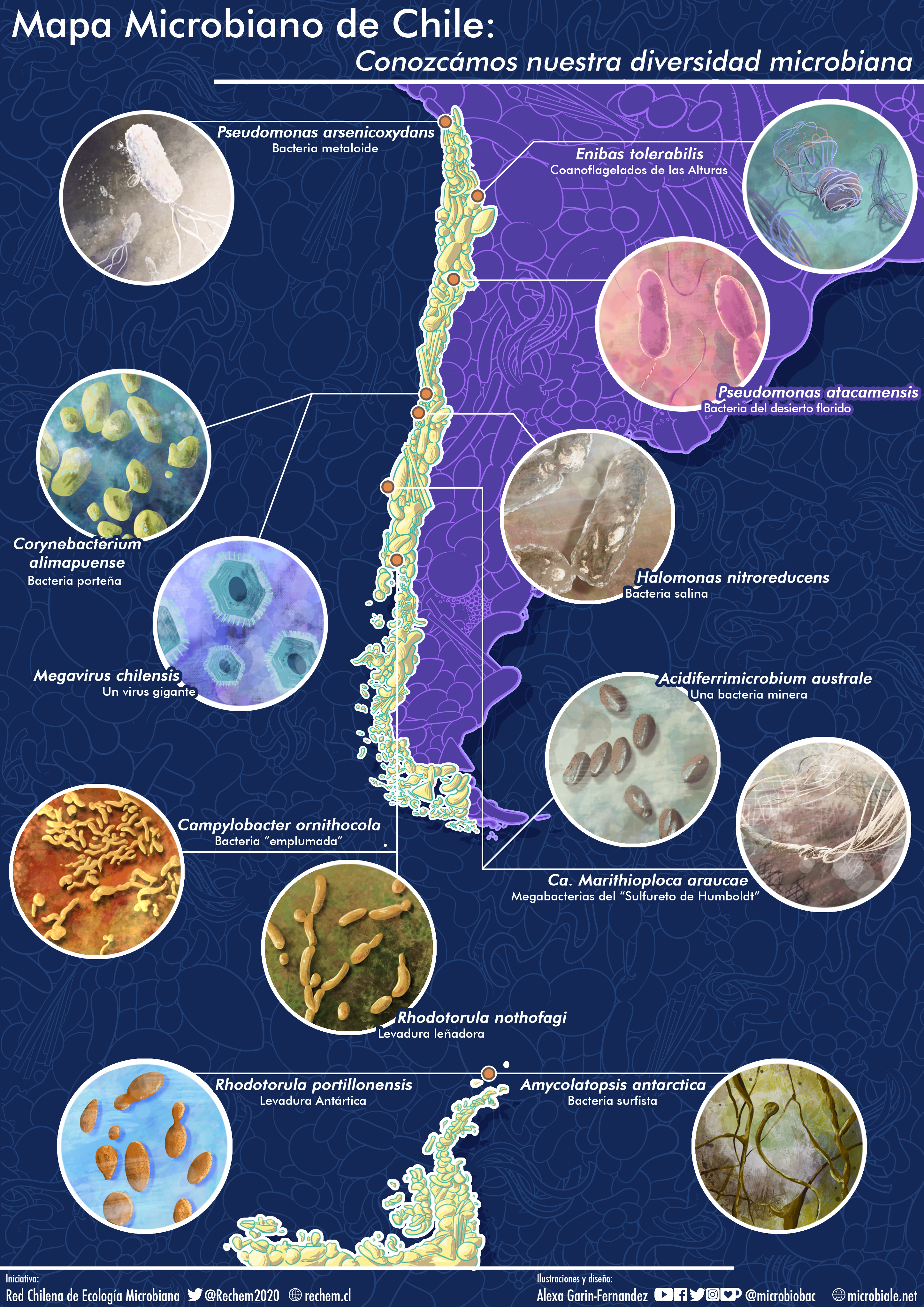 Mapa microbiano de Chile